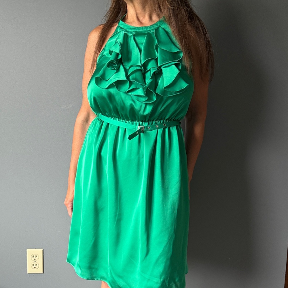 The Limited Vibrant Green Midi Dress - Picture 4 of 5